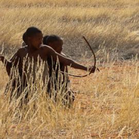 Ethnobotany and Ethnocide: an interview with Wade Davis